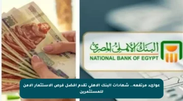 عوائد مرتفعة.. شهادات البنك الأهلي تقدم أفضل فرص الاستثمار الآمن للمستثمرين